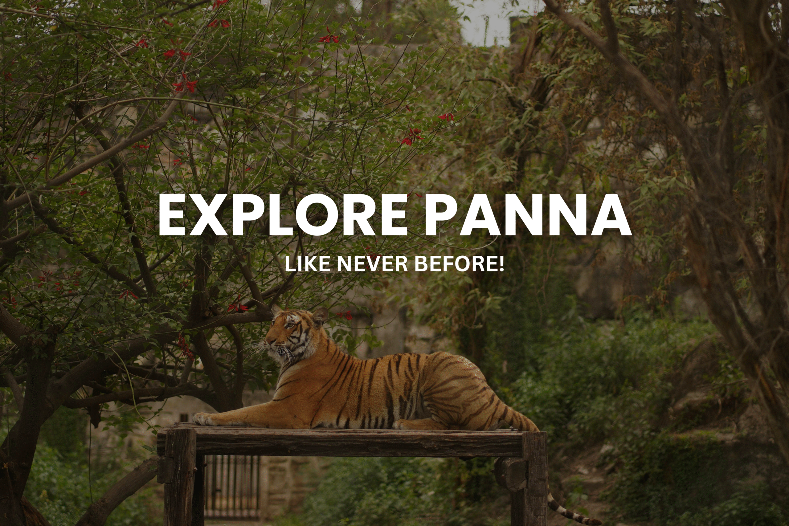 explore panna 20250723 184016 0000 scaled.png
